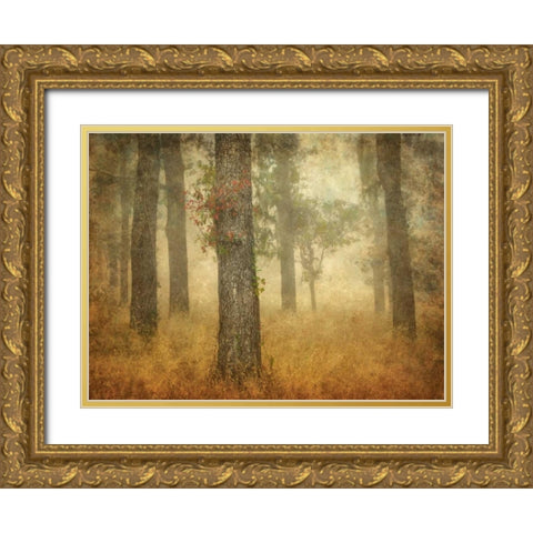 Oak Grove in Fog Gold Ornate Wood Framed Art Print with Double Matting by Guion, William