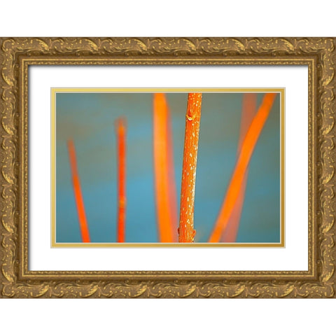 Along the River No. 5 Gold Ornate Wood Framed Art Print with Double Matting by Gonzalez, Ulpi