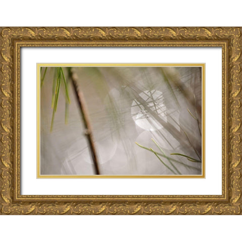 Abstract by the River Gold Ornate Wood Framed Art Print with Double Matting by Gonzalez, Ulpi