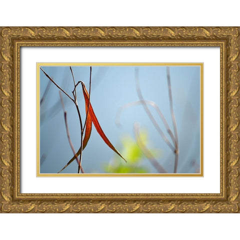 Red and Green by the River Gold Ornate Wood Framed Art Print with Double Matting by Gonzalez, Ulpi
