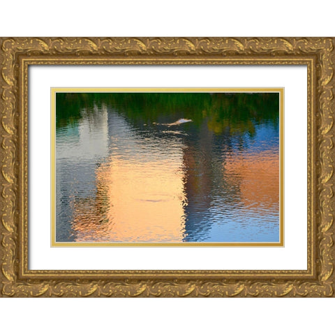 Reflection on the Iowa River No. 1 Gold Ornate Wood Framed Art Print with Double Matting by Gonzalez, Ulpi