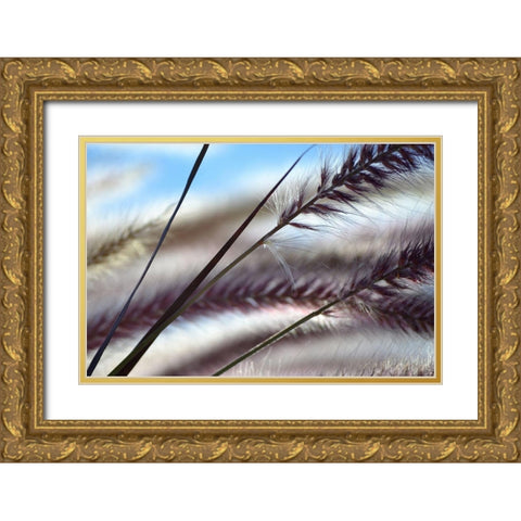 Grasses No. 8 Gold Ornate Wood Framed Art Print with Double Matting by Gonzalez, Ulpi
