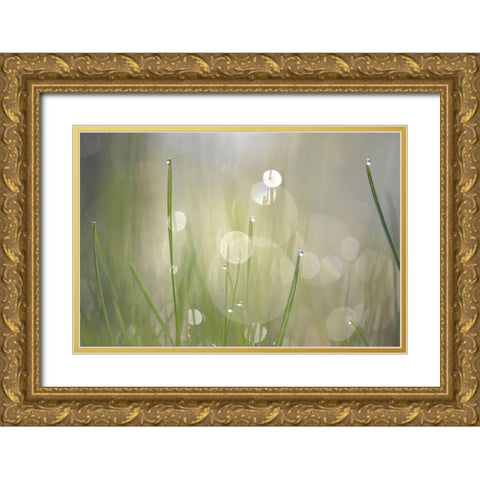 Morning Light No. 3 Gold Ornate Wood Framed Art Print with Double Matting by Gonzalez, Ulpi
