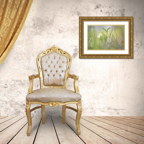 Morning Light No. 1 Gold Ornate Wood Framed Art Print with Double Matting by Gonzalez, Ulpi