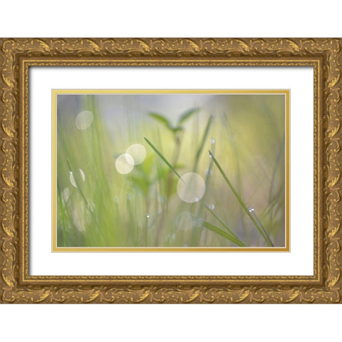 Morning Light No. 1 Gold Ornate Wood Framed Art Print with Double Matting by Gonzalez, Ulpi