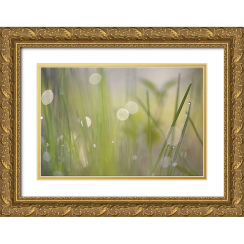 Morning Light No. 2 Gold Ornate Wood Framed Art Print with Double Matting by Gonzalez, Ulpi