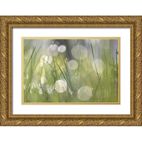 Morning Light No. 4 Gold Ornate Wood Framed Art Print with Double Matting by Gonzalez, Ulpi