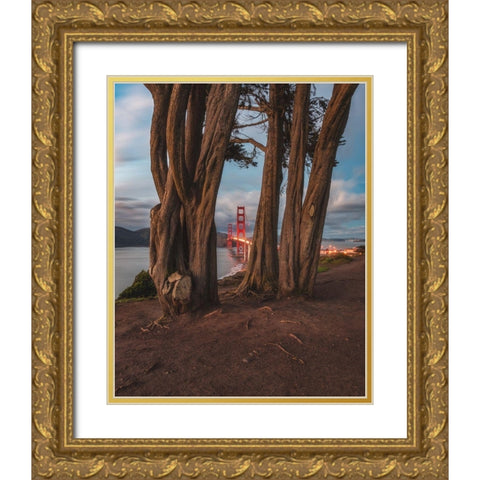 Between the Trees Gold Ornate Wood Framed Art Print with Double Matting by Getty, Bruce