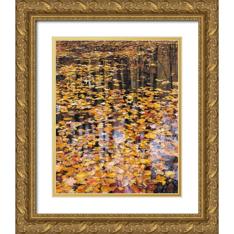 Autumn Detail Gold Ornate Wood Framed Art Print with Double Matting by Gavrilis, John