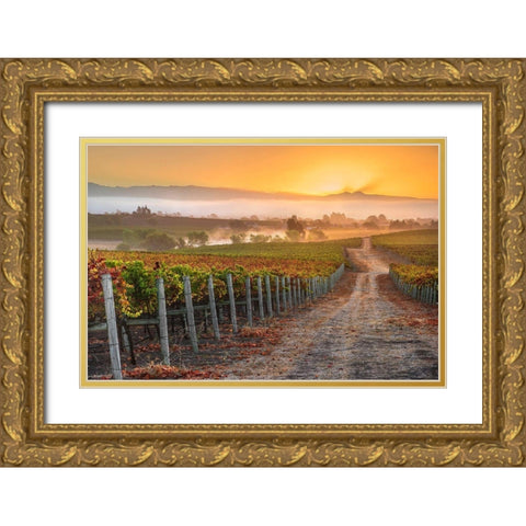 Vineyard Sunrise Gold Ornate Wood Framed Art Print with Double Matting by Gavrilis, John