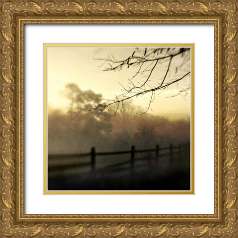 At Dawn Gold Ornate Wood Framed Art Print with Double Matting by Hanna, Dawn D.
