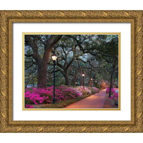 Forsythe Park Gold Ornate Wood Framed Art Print with Double Matting by Hiers, Winthrope