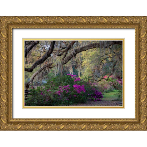 Oaks and Azaleas Gold Ornate Wood Framed Art Print with Double Matting by Herrera, H.J.