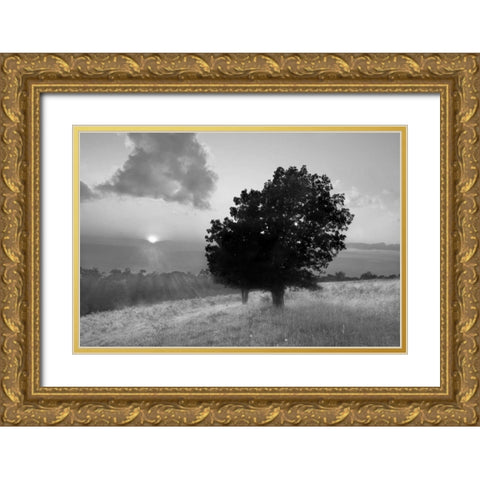 Spitler Knoll Overlook Gold Ornate Wood Framed Art Print with Double Matting by Hiers, Winthrope