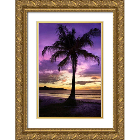 Brasalito Bay, Costa Rica Gold Ornate Wood Framed Art Print with Double Matting by Hiers, Winthrope