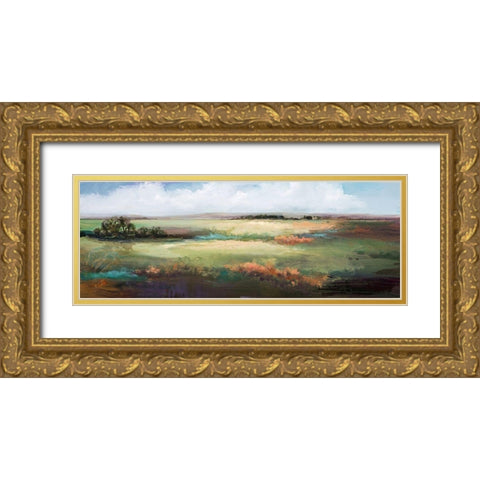 A Day to Be Lazy Gold Ornate Wood Framed Art Print with Double Matting by Hale, Karen