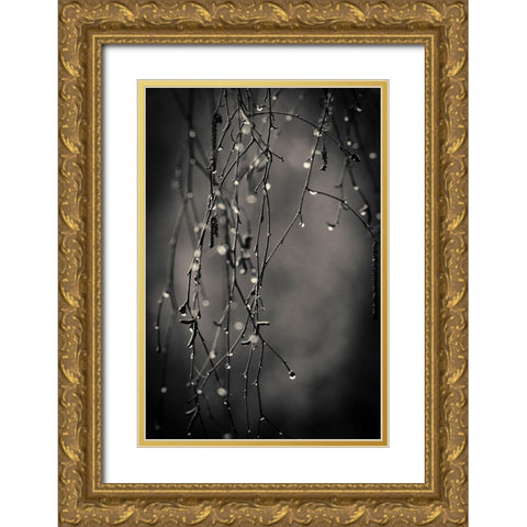Bare Branches 2017 Gold Ornate Wood Framed Art Print with Double Matting by Horsfall, Gary