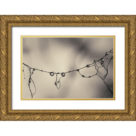 Moss 2017 Gold Ornate Wood Framed Art Print with Double Matting by Horsfall, Gary