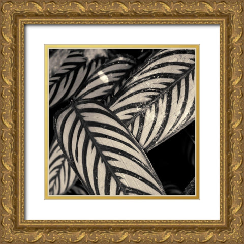 Varigated Leaves No. 2 Gold Ornate Wood Framed Art Print with Double Matting by Horsfall, Gary