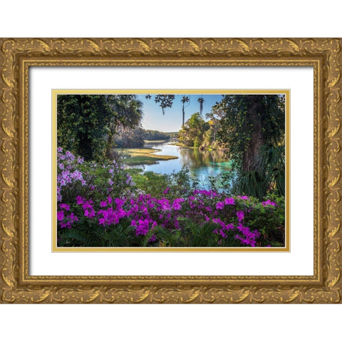 Rainbow Springs Gold Ornate Wood Framed Art Print with Double Matting by Herrera, H.J.