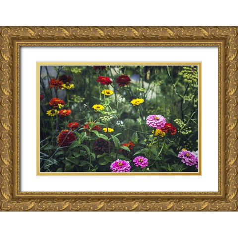 Secret Gardens Gold Ornate Wood Framed Art Print with Double Matting by Henriksen, Jennifer