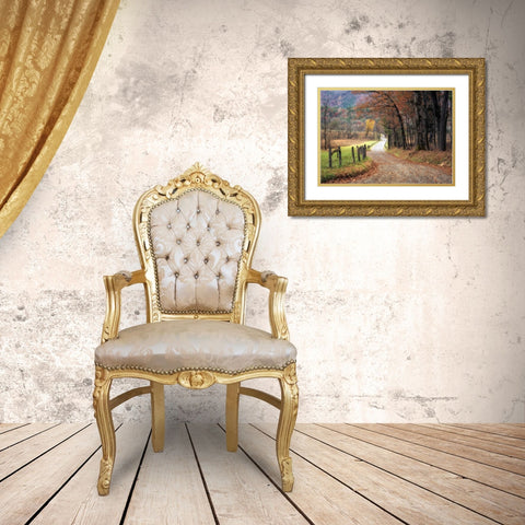 Autumn Drive I Gold Ornate Wood Framed Art Print with Double Matting by Head, Danny