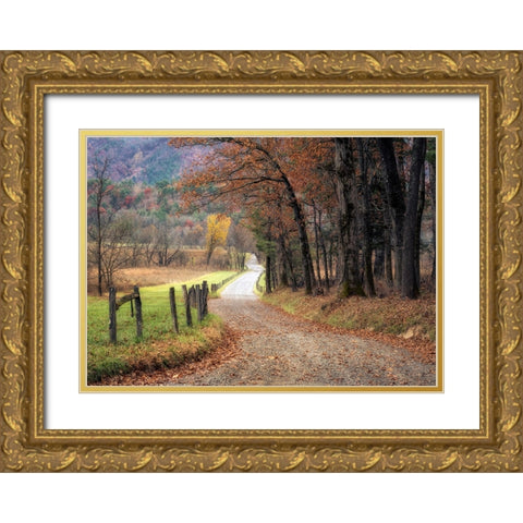 Autumn Drive I Gold Ornate Wood Framed Art Print with Double Matting by Head, Danny