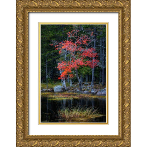 Red Reflections I Gold Ornate Wood Framed Art Print with Double Matting by Head, Danny