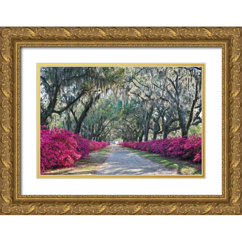 Azaleas Bonaventure Gold Ornate Wood Framed Art Print with Double Matting by Hiers, Winthrope