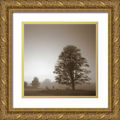 Stillness Gold Ornate Wood Framed Art Print with Double Matting by PhotoINC Studio