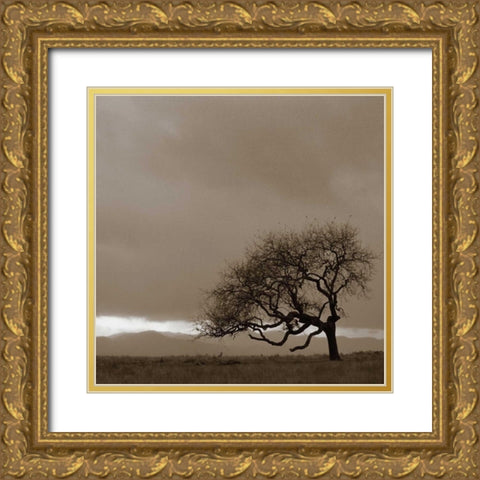 Survivor Gold Ornate Wood Framed Art Print with Double Matting by PhotoINC Studio