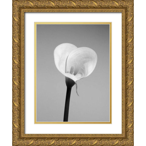 Calla No. 2 Gold Ornate Wood Framed Art Print with Double Matting by PhotoINC Studio