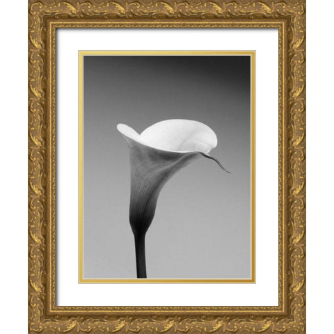Calla No. 3 Gold Ornate Wood Framed Art Print with Double Matting by PhotoINC Studio