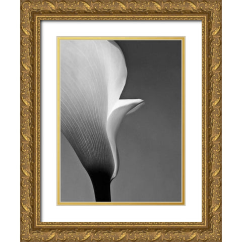 Calla No. 5 Gold Ornate Wood Framed Art Print with Double Matting by PhotoINC Studio