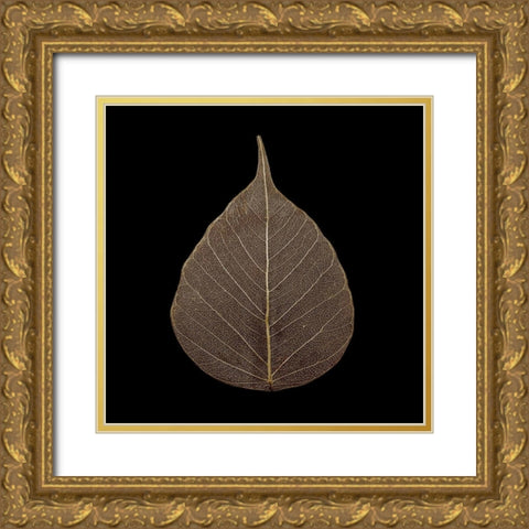 Brown Leaf Gold Ornate Wood Framed Art Print with Double Matting by PhotoINC Studio