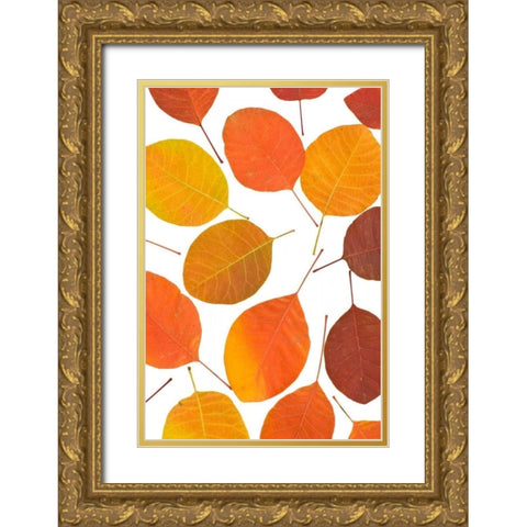 Brown Leaves Gold Ornate Wood Framed Art Print with Double Matting by PhotoINC Studio