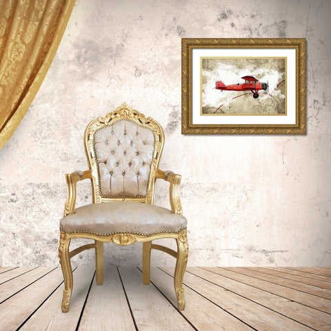 Biplane 3 Gold Ornate Wood Framed Art Print with Double Matting by GraphINC Studio