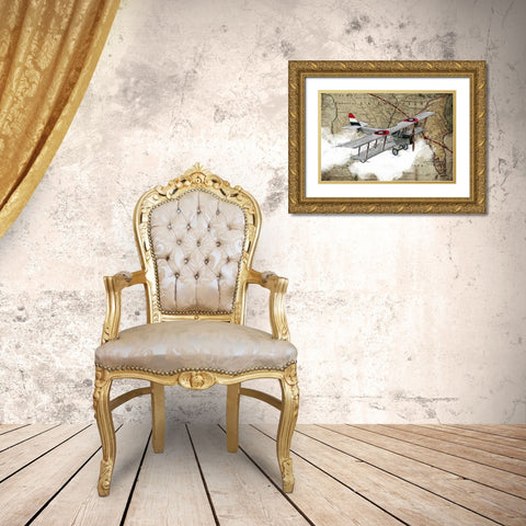 Biplane 4 Gold Ornate Wood Framed Art Print with Double Matting by GraphINC Studio