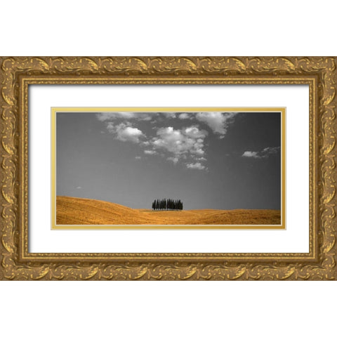 Toscana Landscape Gold Ornate Wood Framed Art Print with Double Matting by PhotoINC Studio