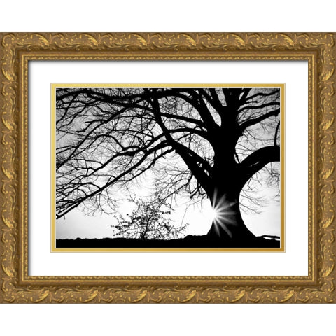 Oak Silhouette Gold Ornate Wood Framed Art Print with Double Matting by PhotoINC Studio