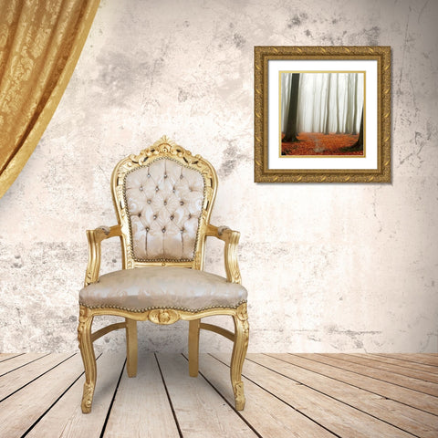 Autumn Forest Floor Gold Ornate Wood Framed Art Print with Double Matting by PhotoINC Studio
