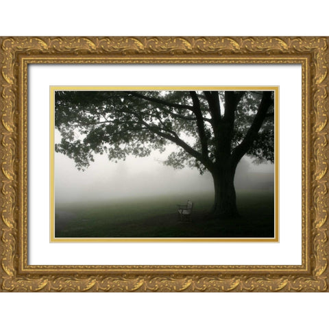 Misty Bench Gold Ornate Wood Framed Art Print with Double Matting by PhotoINC Studio