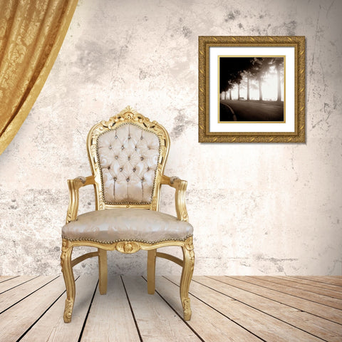 Roadside Bench Gold Ornate Wood Framed Art Print with Double Matting by PhotoINC Studio