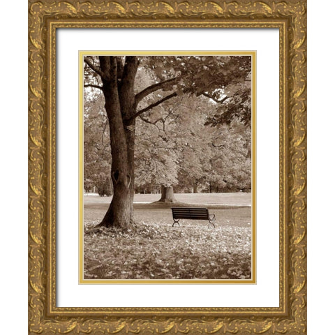 Park View Gold Ornate Wood Framed Art Print with Double Matting by PhotoINC Studio