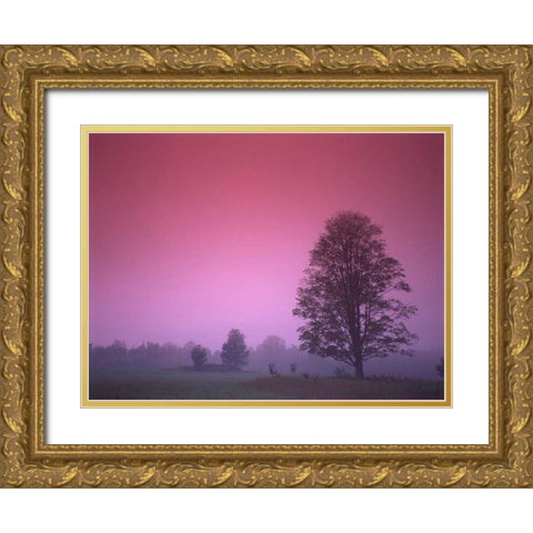 Evening Fields Gold Ornate Wood Framed Art Print with Double Matting by PhotoINC Studio