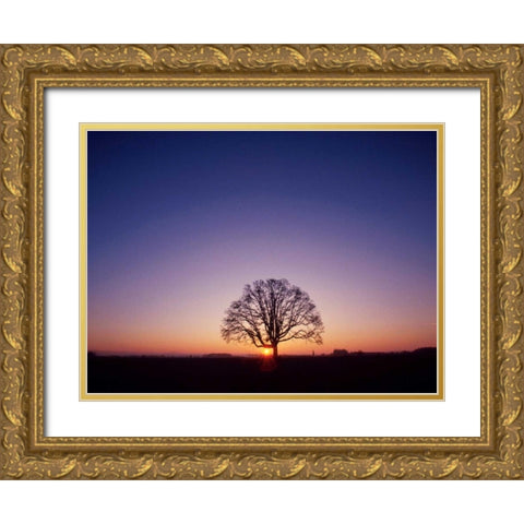 Sundown Gold Ornate Wood Framed Art Print with Double Matting by PhotoINC Studio