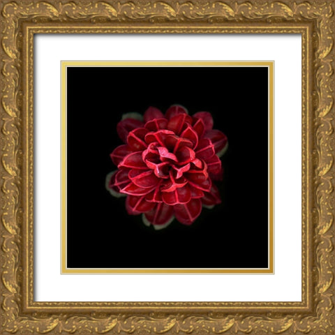 In Red Gold Ornate Wood Framed Art Print with Double Matting by PhotoINC Studio