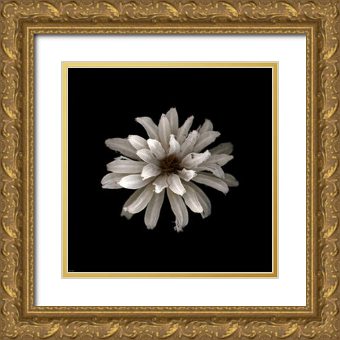 All White Gold Ornate Wood Framed Art Print with Double Matting by PhotoINC Studio