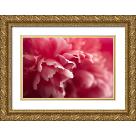 Nebula Gold Ornate Wood Framed Art Print with Double Matting by PhotoINC Studio