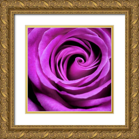 Purple Rose Gold Ornate Wood Framed Art Print with Double Matting by PhotoINC Studio